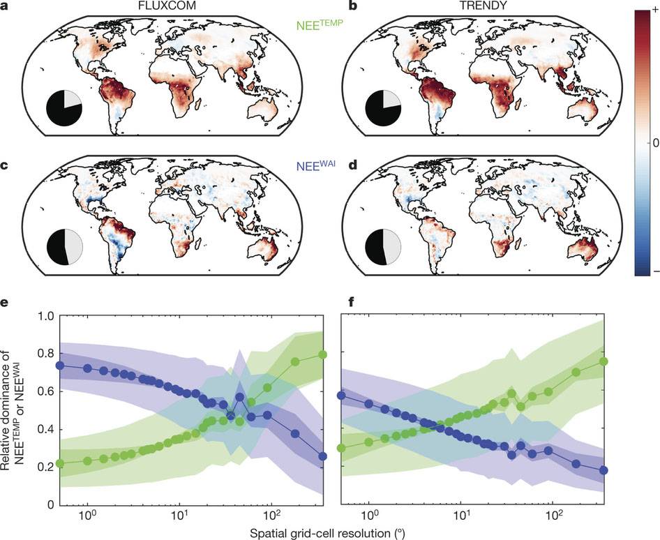 El agua y la temperatura, claves para controlar los sumideros de carbono