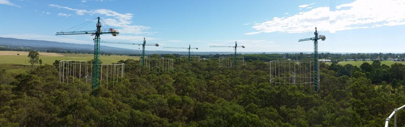 Este proyecto se ha llevado a cabo tres años en las instalaciones experimentales EucFACE, de la Western Sydney University