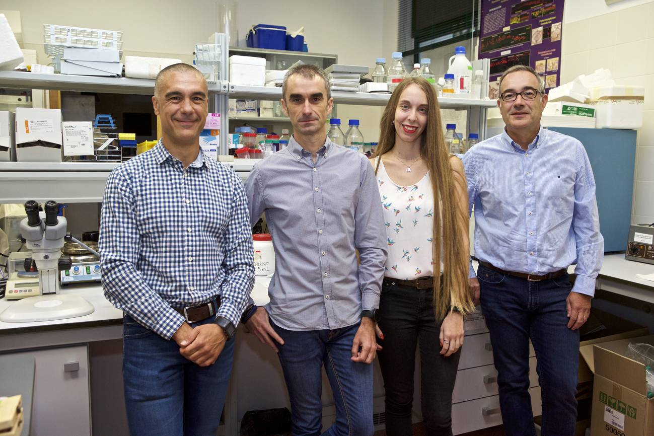Equipo de investigación y autores del artículo
