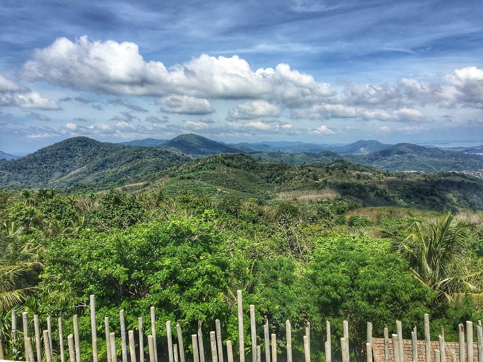 Selva en Tailandia