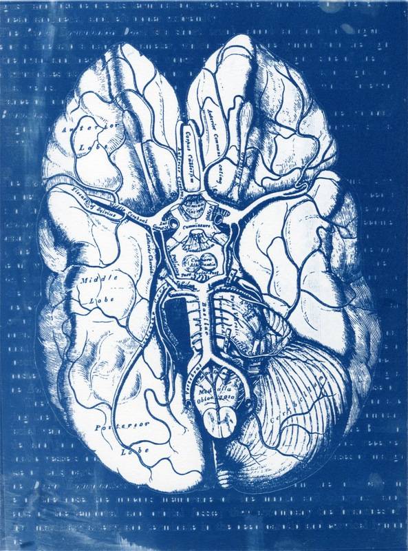 El cerebro responde de forma automática ante las injusticias