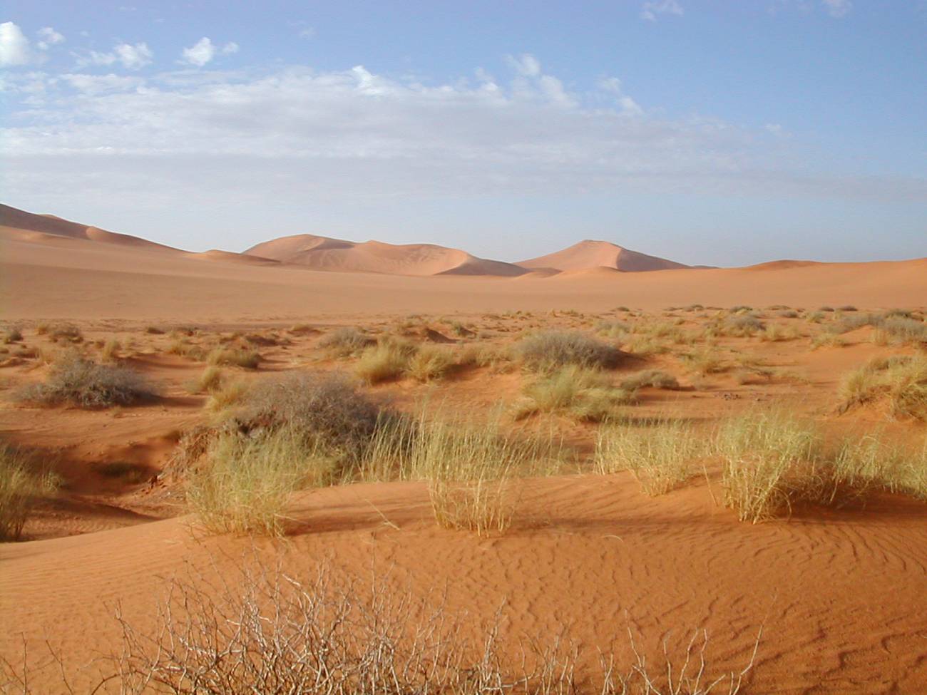 El clima de España se parecerá al del norte de África en 2050 