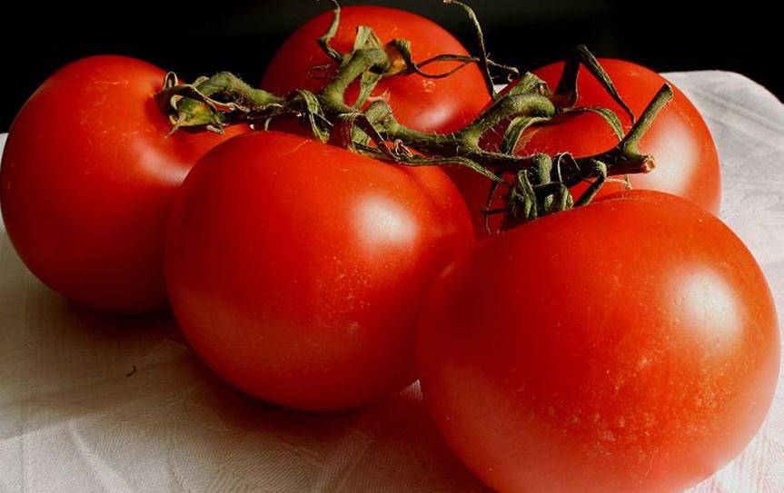 Tomates