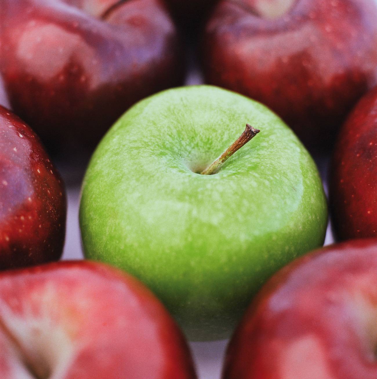 El cultivo de manzana en Girona se verá comprometido por culpa del cambio climático