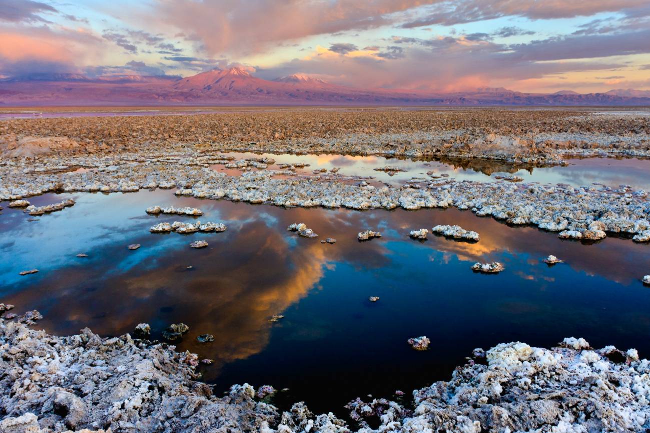 El desierto de Atacama, un hogar acogedor para algas y cianobacterias
