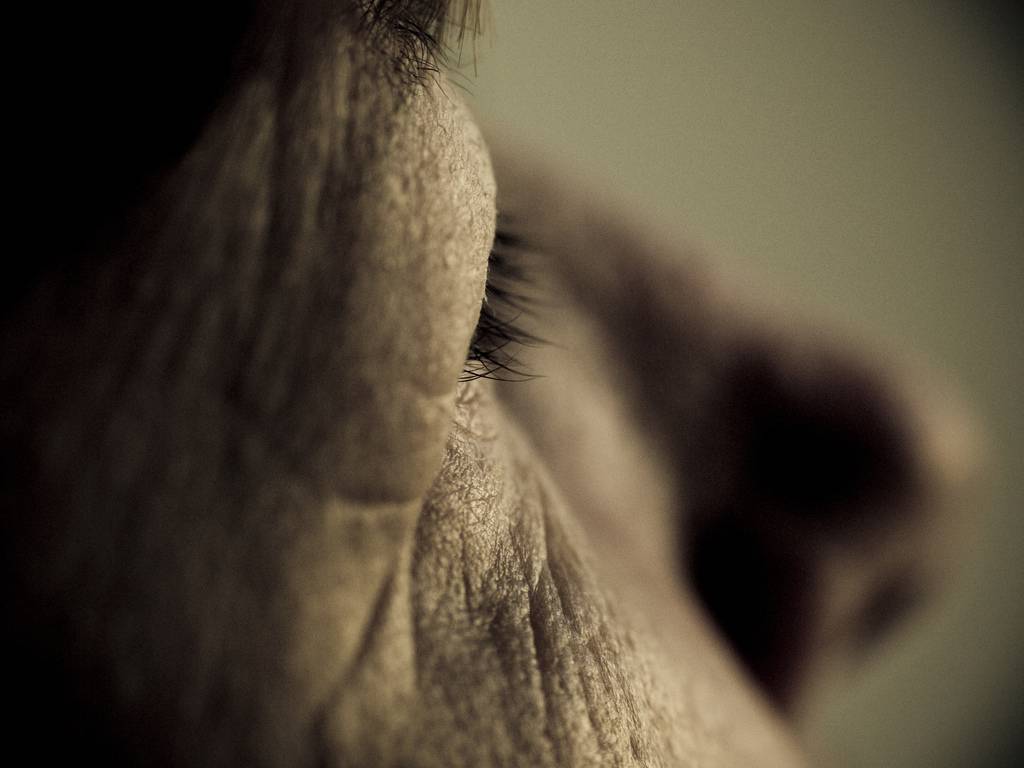 anciano