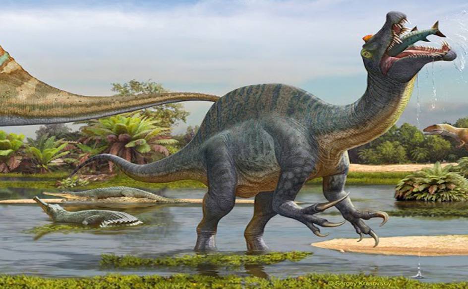El dinosaurio carnívoro gigante ‘Spinosaurus’ se alimentaba como un pelícano