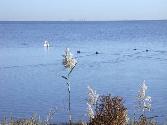 El estado ecológico de la laguna del Mar Menor se deteriorará con el aumento de 3 a 5º C del agua 