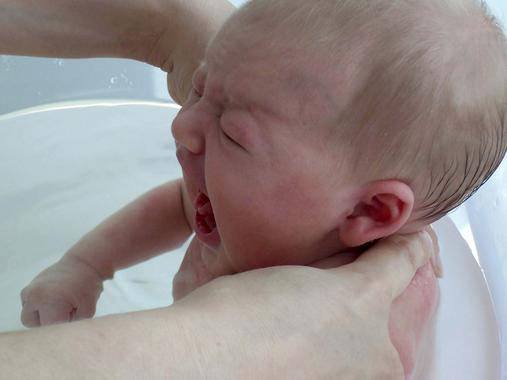 El estrés en la infancia causa trastornos en la microbiota intestinal y de la ansiedad