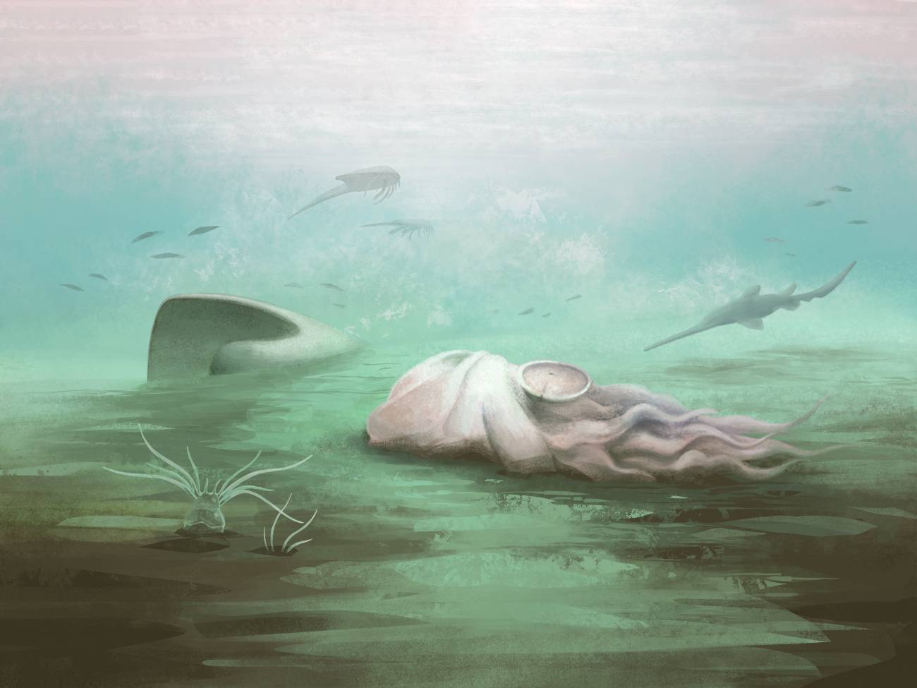 Reconstrucción de la Pohlsepia mazonensis