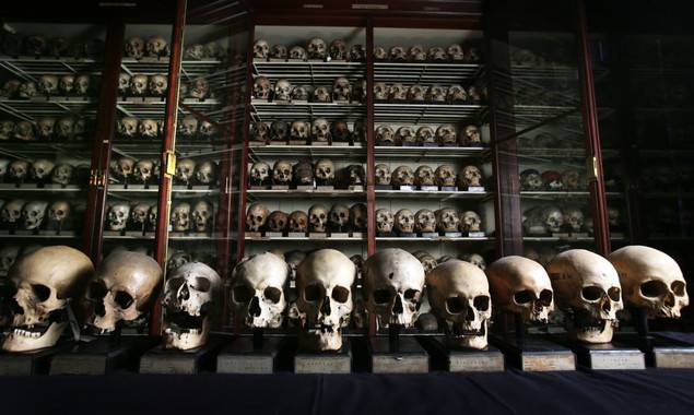 Colección de cráneos procedentes de las Islas Canarias en la Universidad de Edimburgo