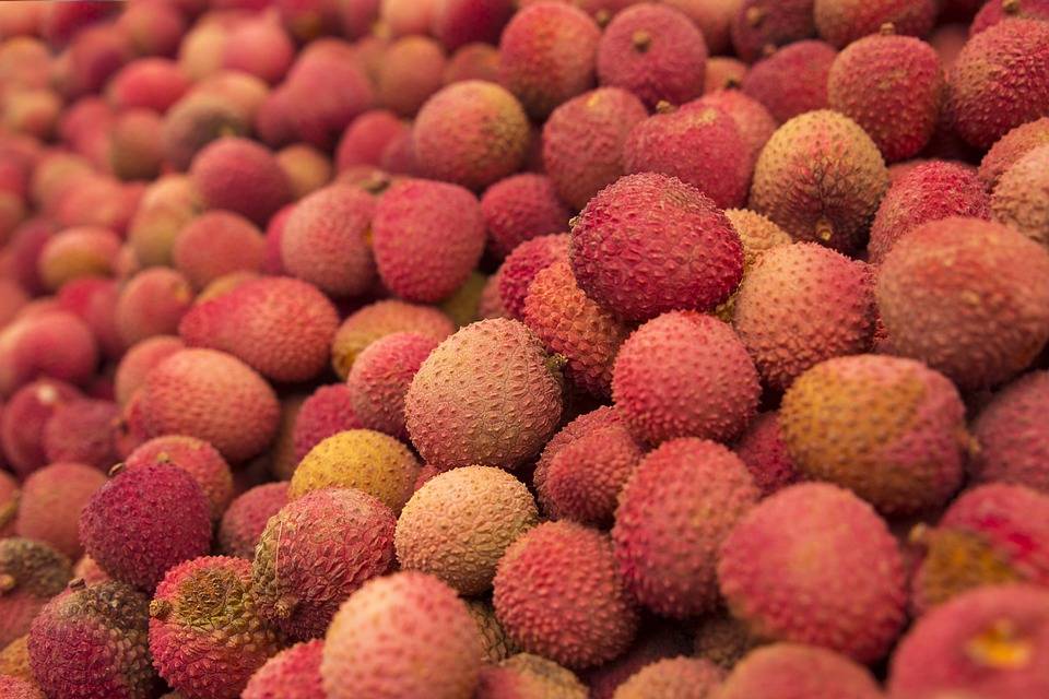El genoma del lichi explica la historia de esta colorida fruta tropical 