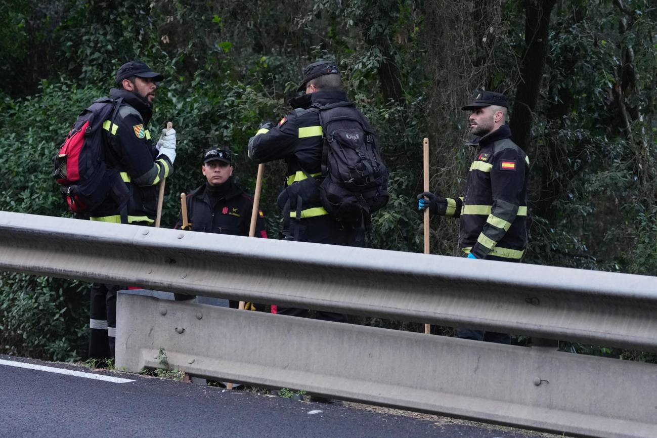 'zona cero' del brote de peste porcina africana 