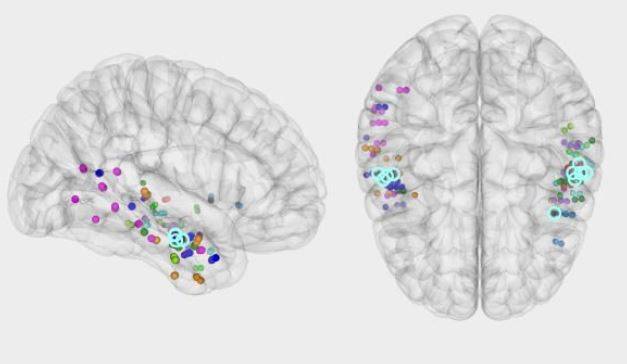 El hipocampo orquesta el proceso cerebral que permite evocar un recuerdo