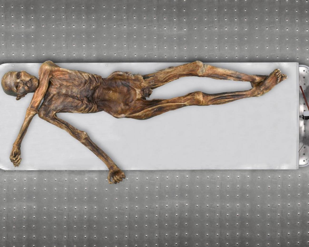 El hombre de hielo Ötzi era calvo, de piel oscura y con ascendencia anatolia 