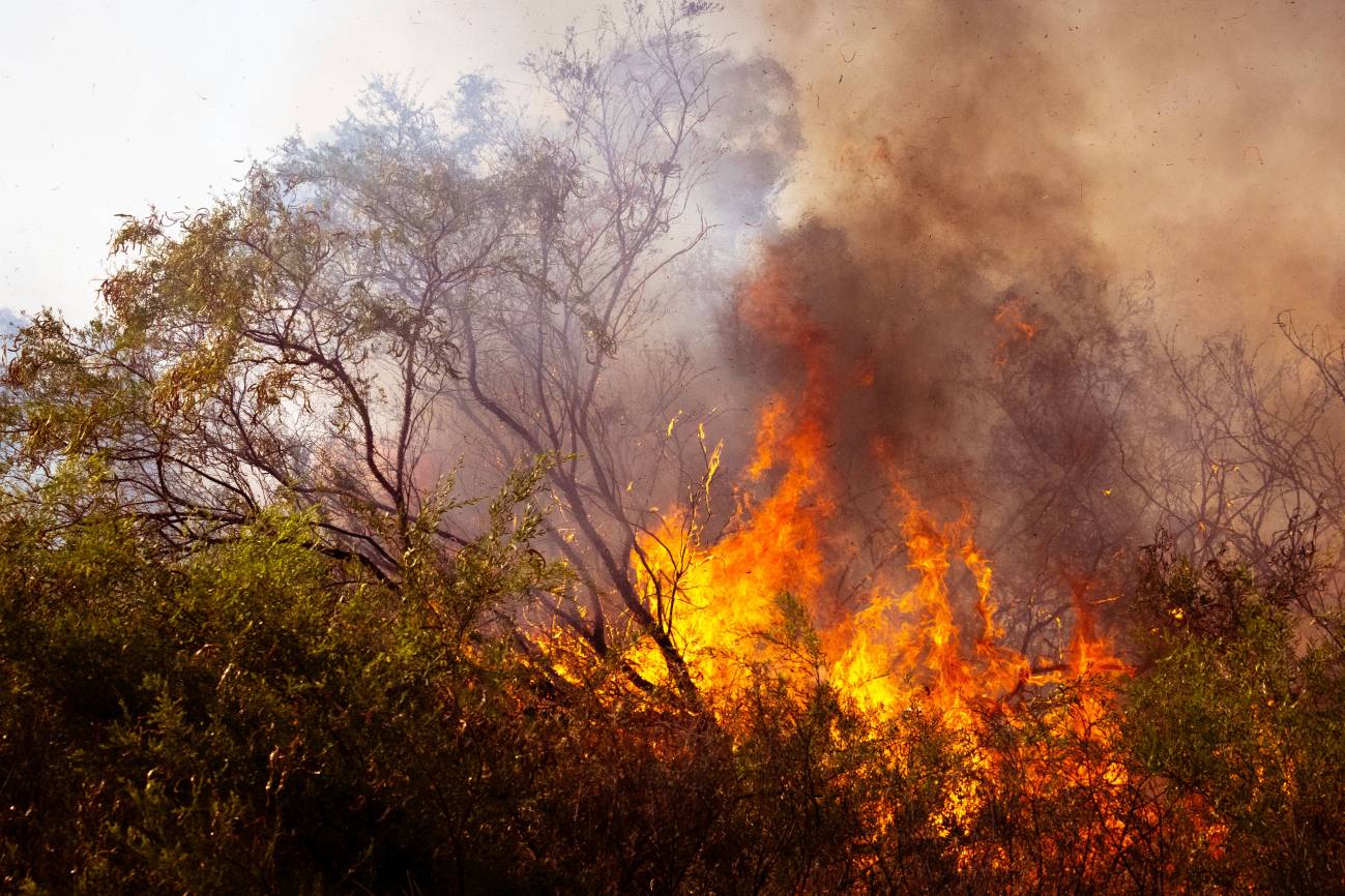 El incendio de Los Gallardos deja 11 muertos y pasa a ser uno de los más graves en España