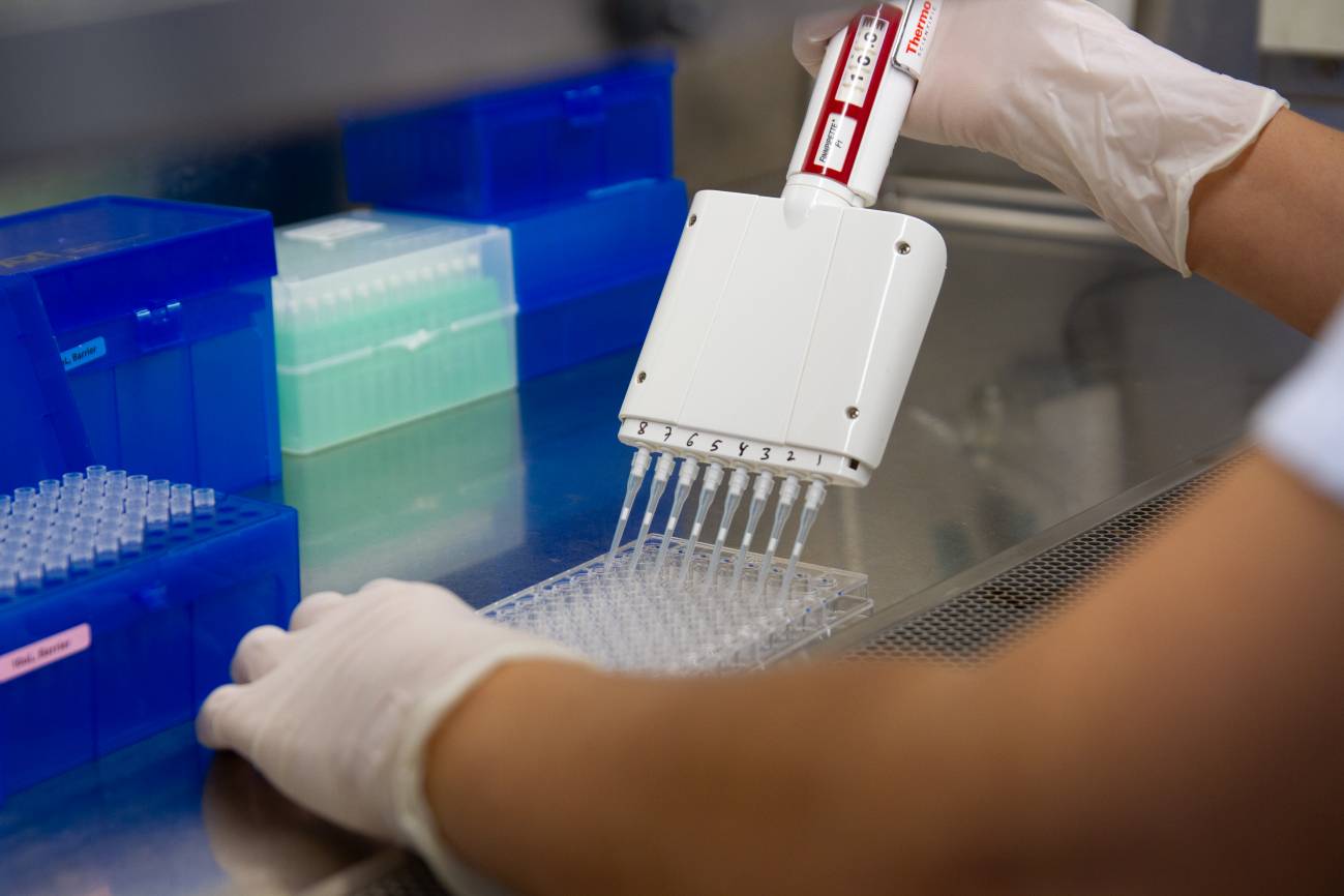 El inicio simultáneo del tratamiento antirretroviral y la inmunoterapia mejora el control del VIH