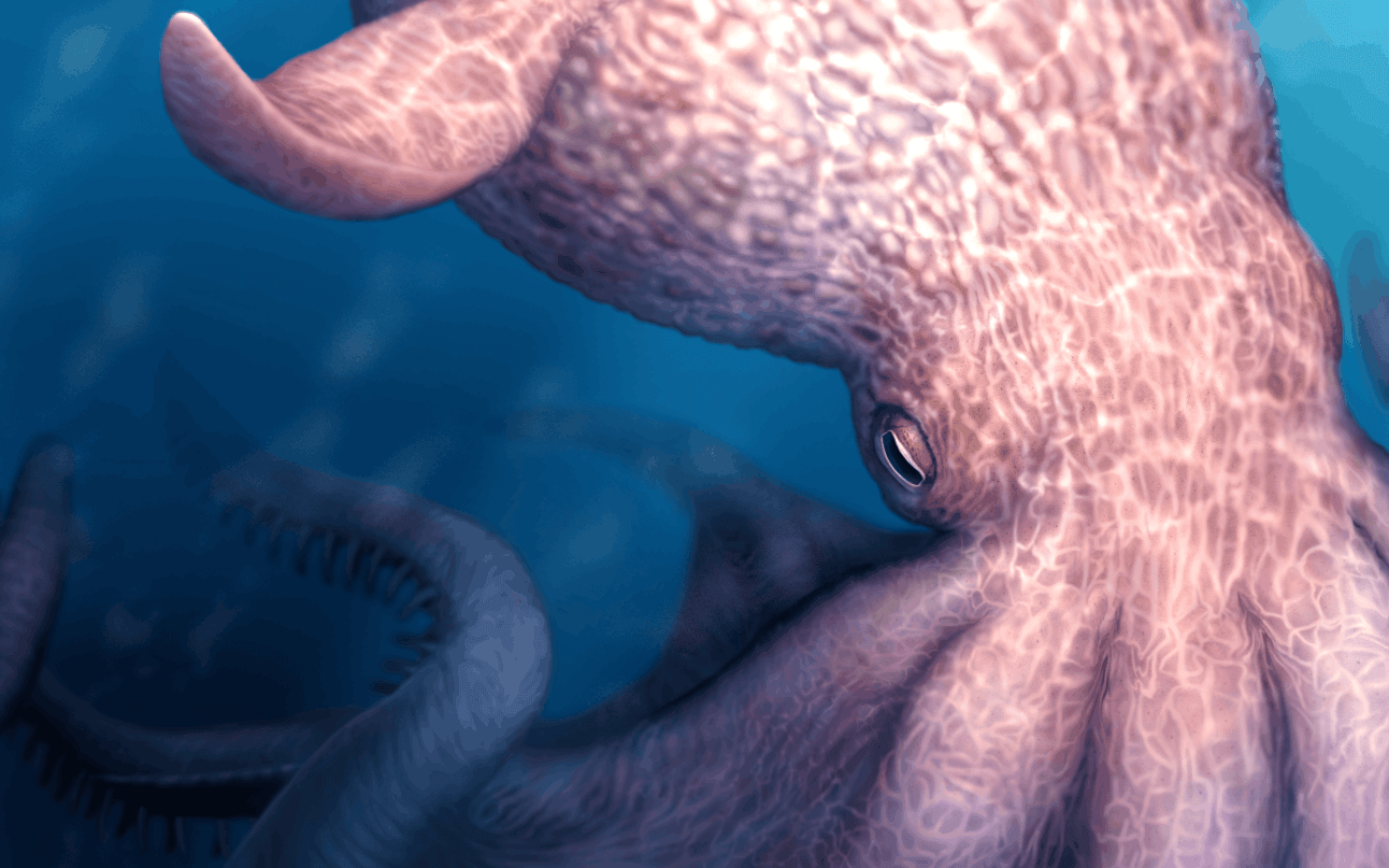 pulpo gigante del Cretácico