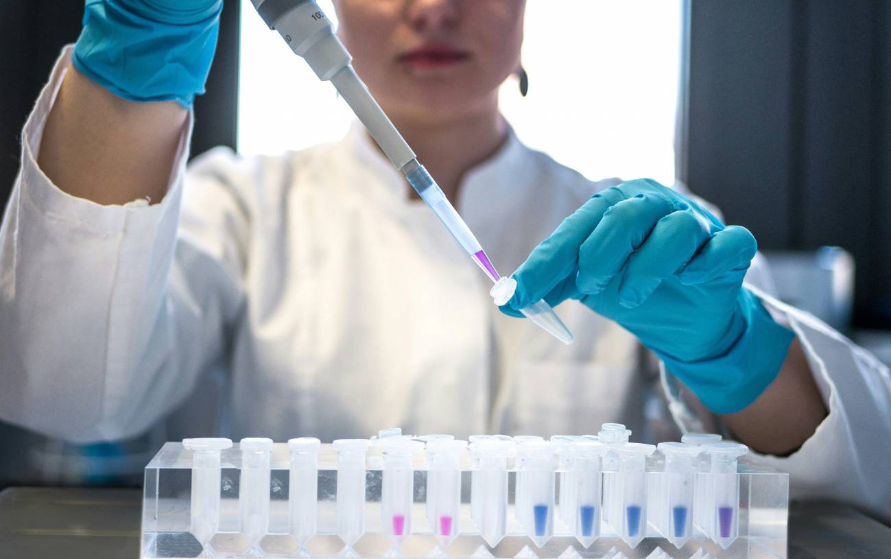 El Ministerio de Ciencia otorga los Premios Nacionales de Investigación 2025