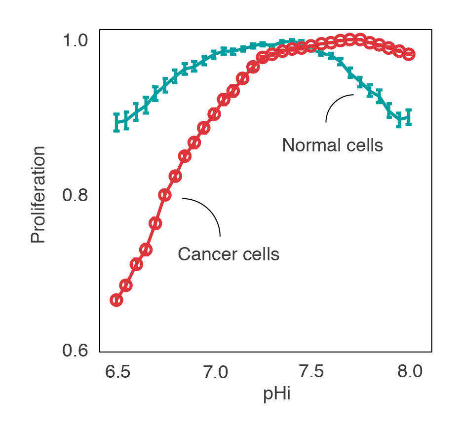 Predicción computacional de la proliferación de células cancerosas y saludables a diferentes pHs intracelulares