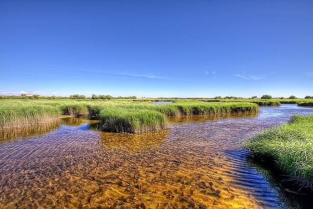 El plan para conservar y proteger la biodiversidad en España, a debate