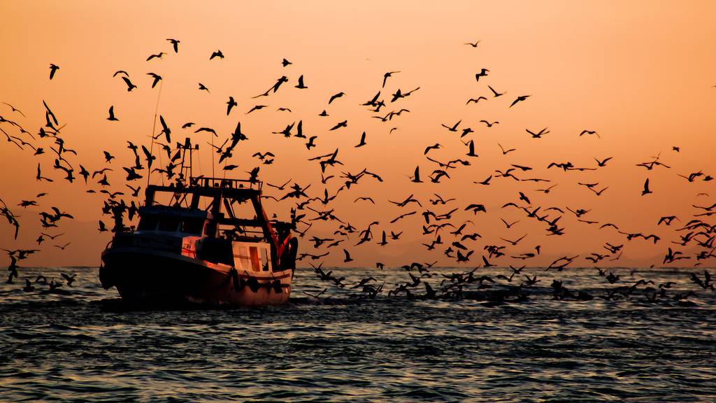 El primer tratado mundial contra la pesca ilegal entra en vigor