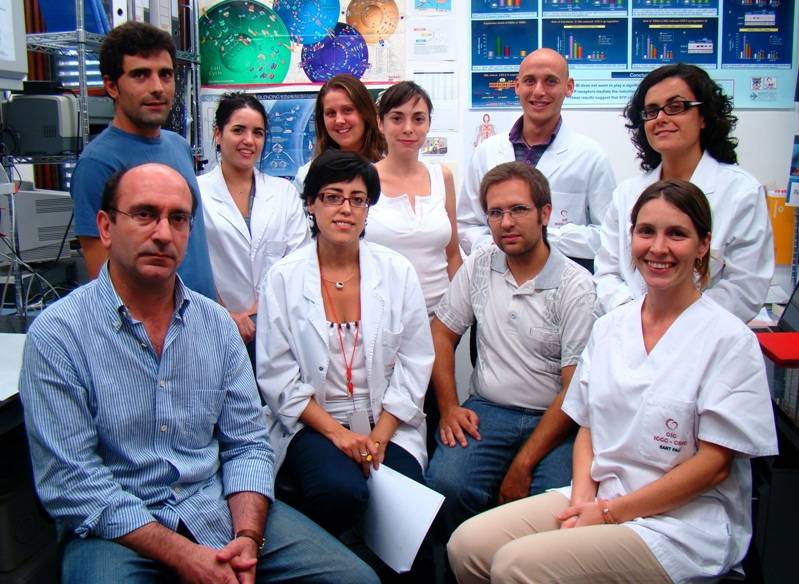 El receptor nuclear NOR-1 es clave para la supervivencia de las células a la hipoxia 