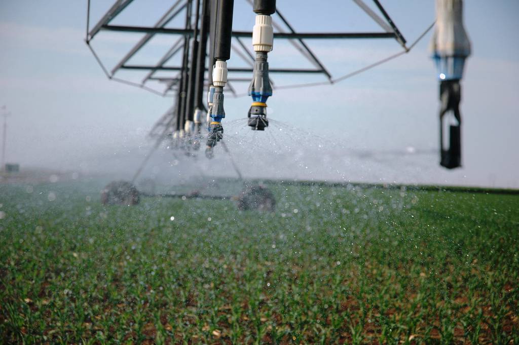 Investigadores del grupo Riego y Ecofisiología de Cultivos del Instituto de Recursos Naturales y Agrobiología de Sevilla / Fundación Descubre