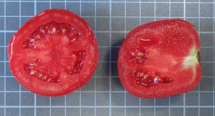 tomate