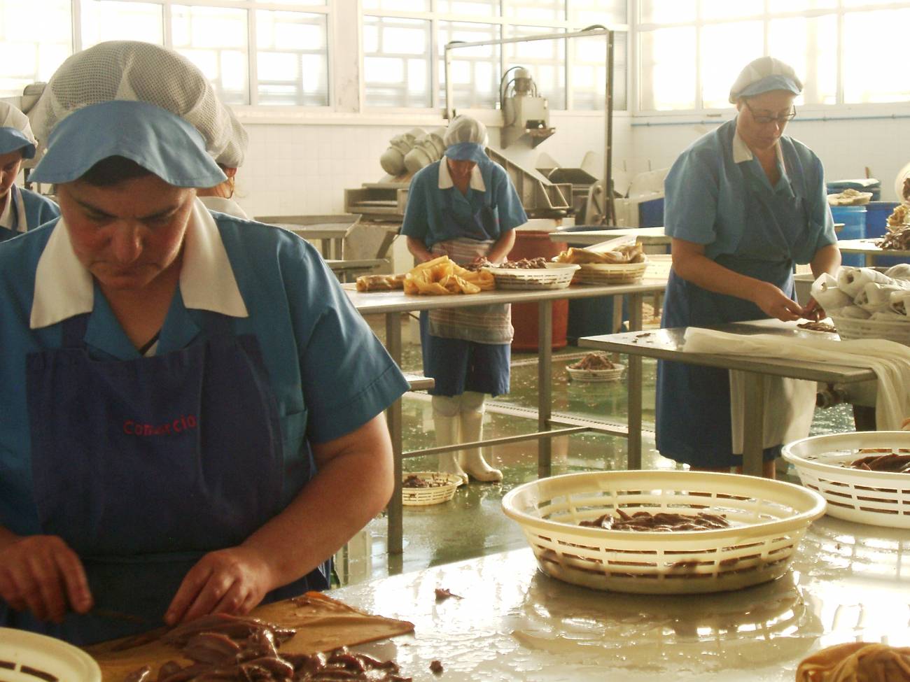 Trabajadoras