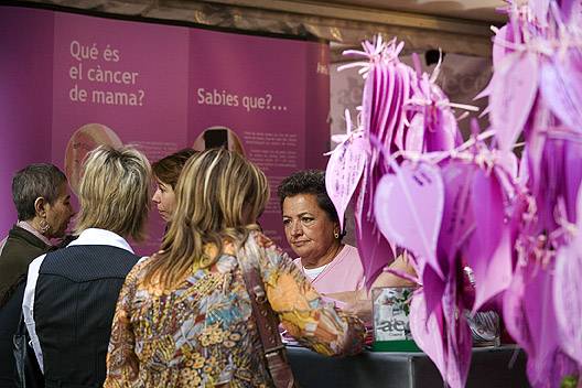 El tratamiento hormonal predispone a las mujeres a padecer cáncer de mama