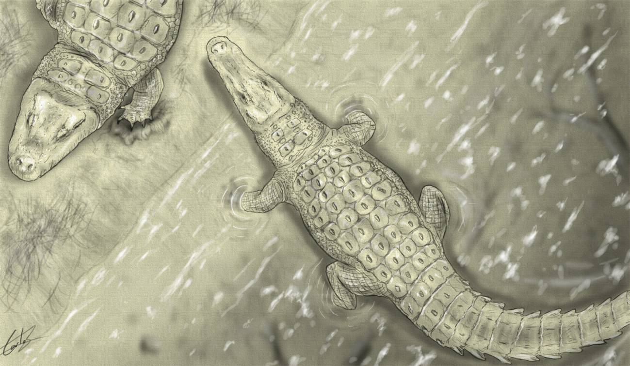 El yacimiento de Lo Hueco desvela un nuevo cocodrilo del Cretácico Superior 