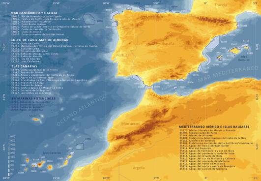 Elaboran el primer inventario de aves marinas españolas del mundo