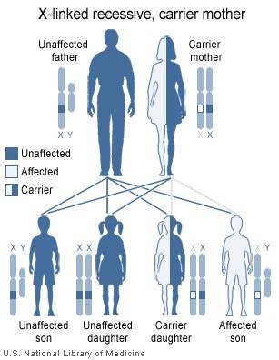 Elaboran una guía clínica del defecto neurológico MCT8
