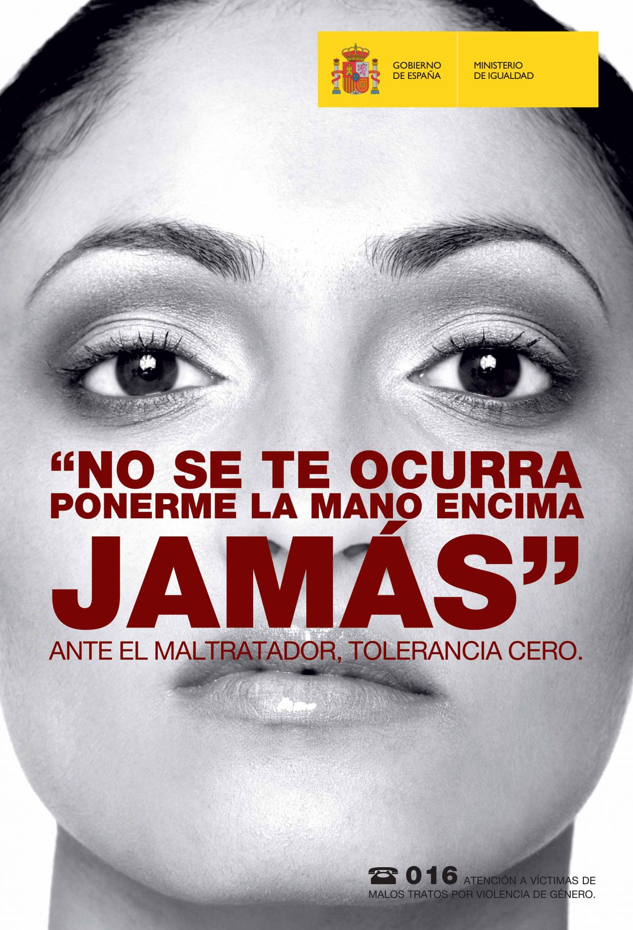 En 2008 se realizaron 400 denuncias diarias por malos tratos