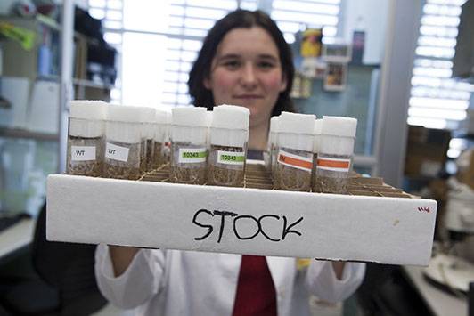 En Europa interesa más la ciencia que el deporte