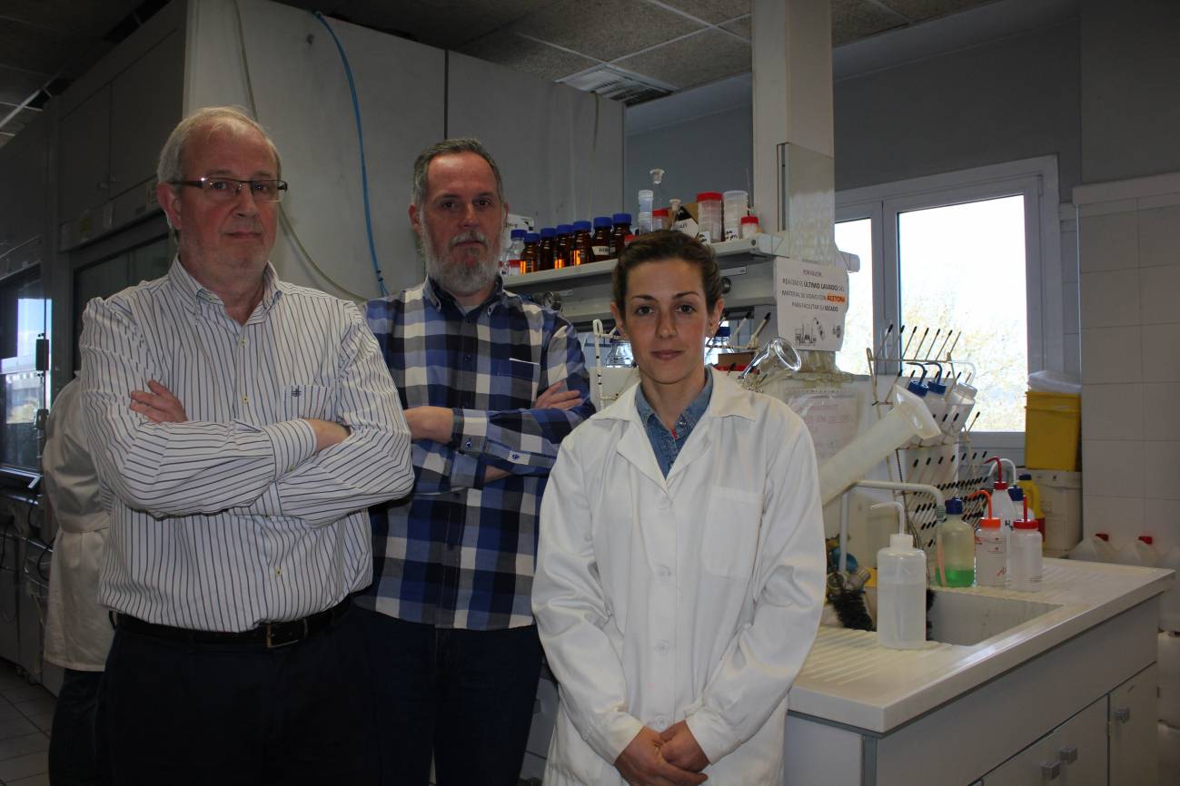 Investigadores de la UPV y el CIBER-BBN