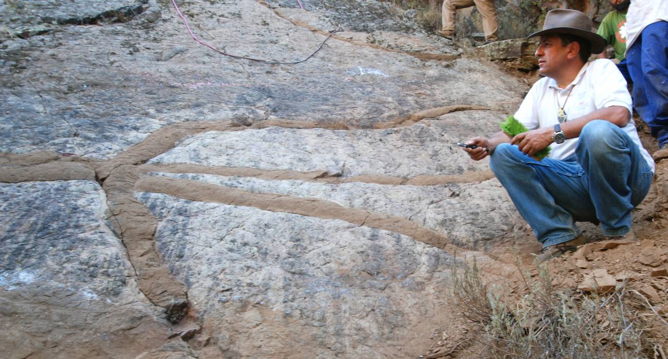 galerías excavadas por gusanos marinos gigantes hace 475 millones de años