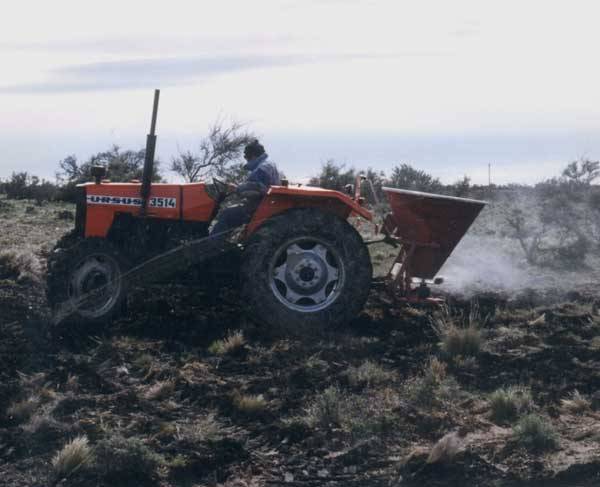Ensayan la biodegradación industrial de residuos de ganaderos por larvas de mosca