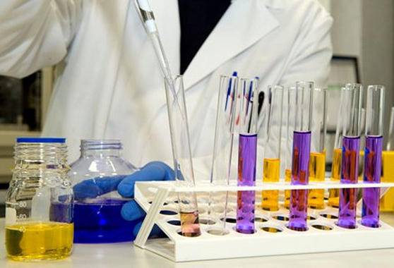 España consolida su participación en ELIXIR, la plataforma europea de bioinformática 