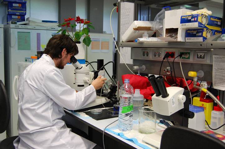 España contribuye a la financiación de tres organismos internacionales de investigación sanitaria