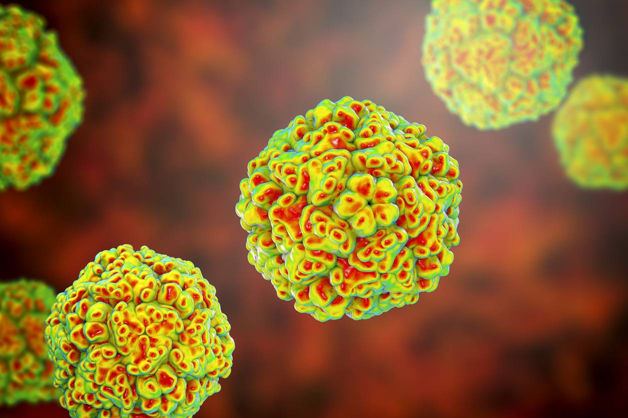 Recreación de un enterovirus