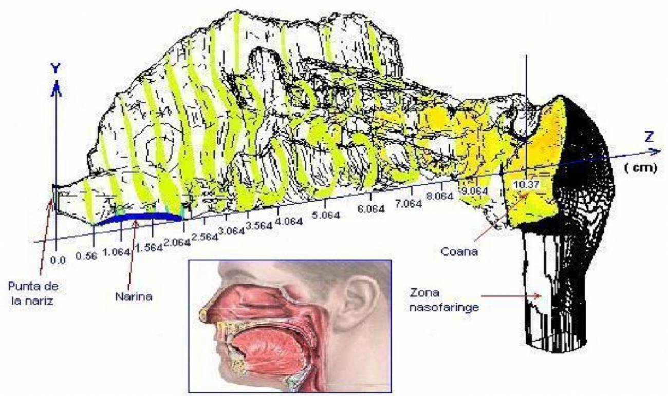El Grupo de Ingeniería de los Fluidos de la Universidad de Valladolid tiene una amplia experiencia en este campo