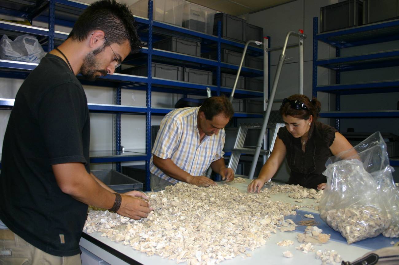 Investigadores del grupo HUM - 440: El círculo del Estrecho. Estudio arqueológico y arqueométrico de las sociedades desde la Prehistoria a la Antigüedad Tardía de la Universidad de Cádiz trabajando en su laboratorio.