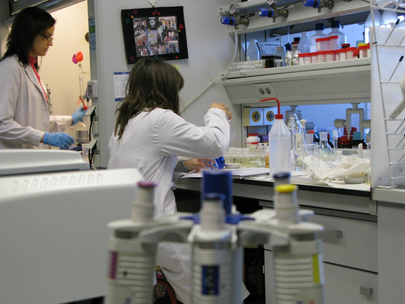 “Etiqueta inteligente” para conocer el grado de frescura de los productos cárnicos envasados