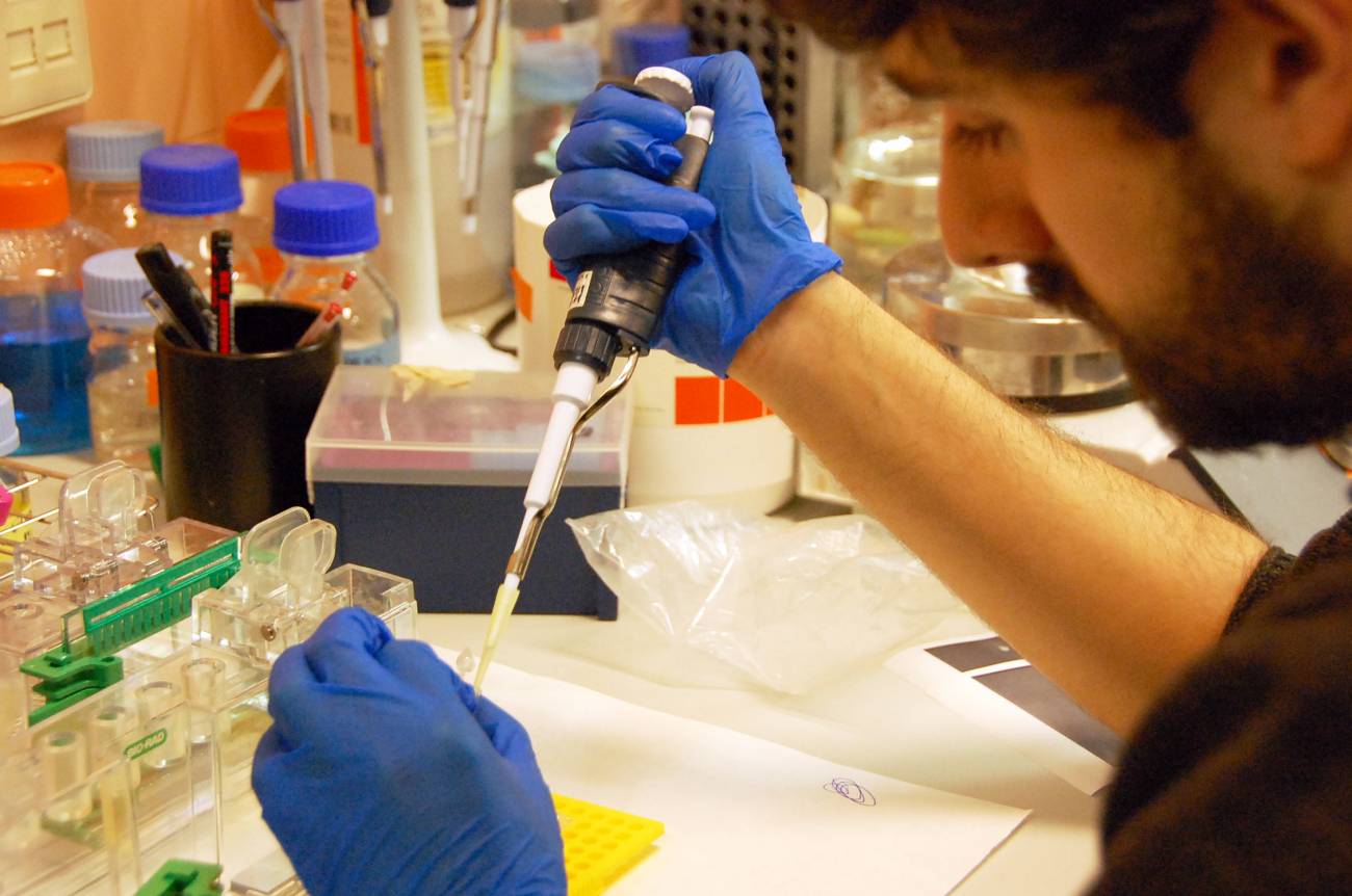Europa financia los proyectos de 20 investigadores de alto nivel en España