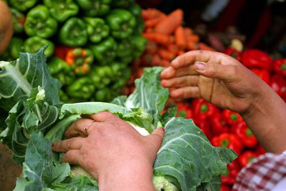 Evaluar el impacto de la liberalización del comercio de frutas y hortalizas