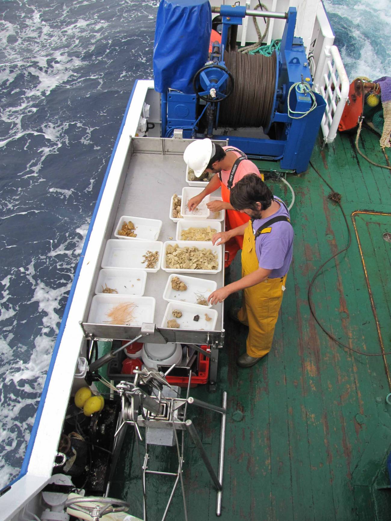 Exploran la biodiversidad de varias islas submarinas canarias 