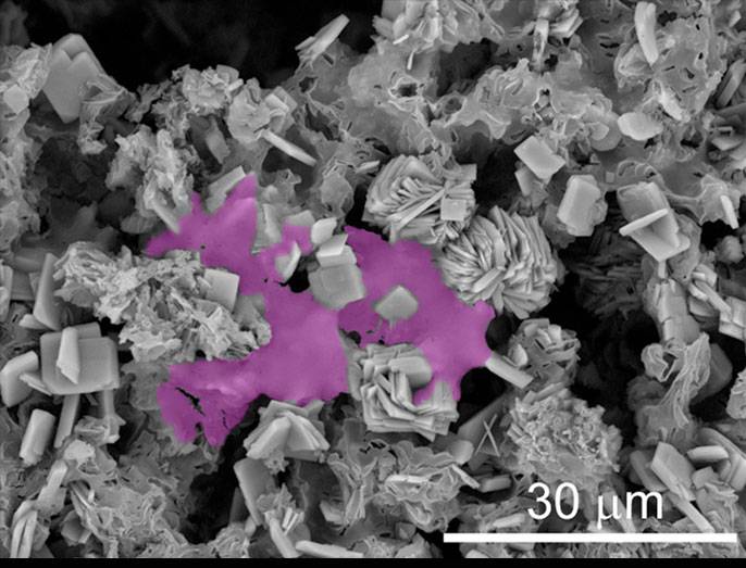 Forman nuevo hueso con la ayuda de minerales y gel de sílice