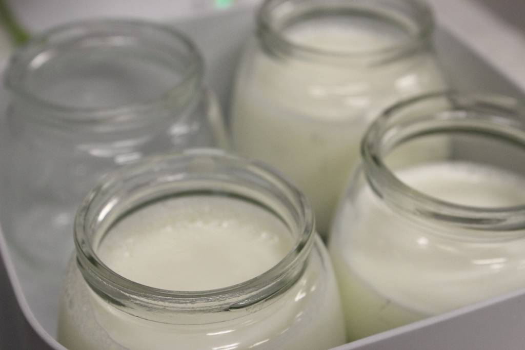Formulan yogures ricos en proteínas y que sacian más